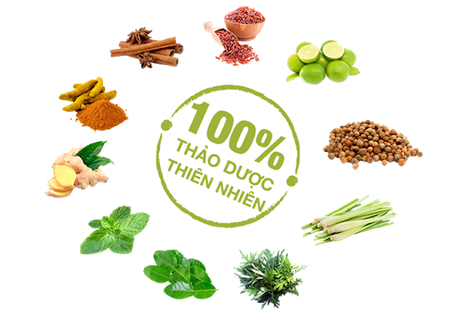 Thảo dược