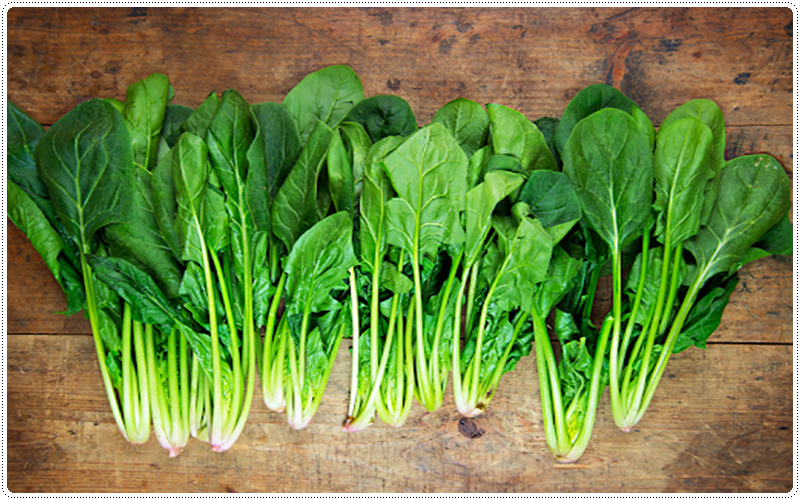 Ăn gì để tăng kích thước cậu nhỏ