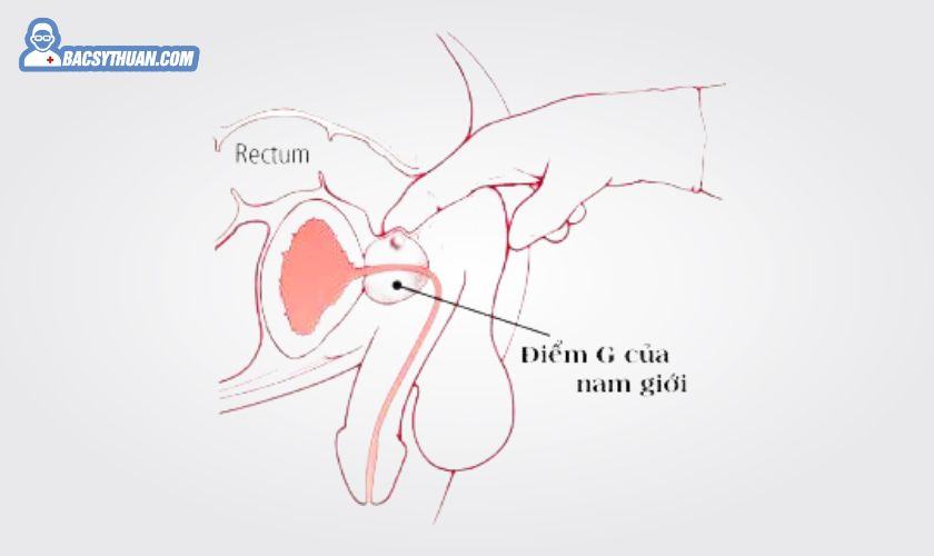điểm g của nam điểm g của nam