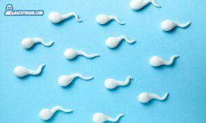 tinh trùng sống được bao lâu